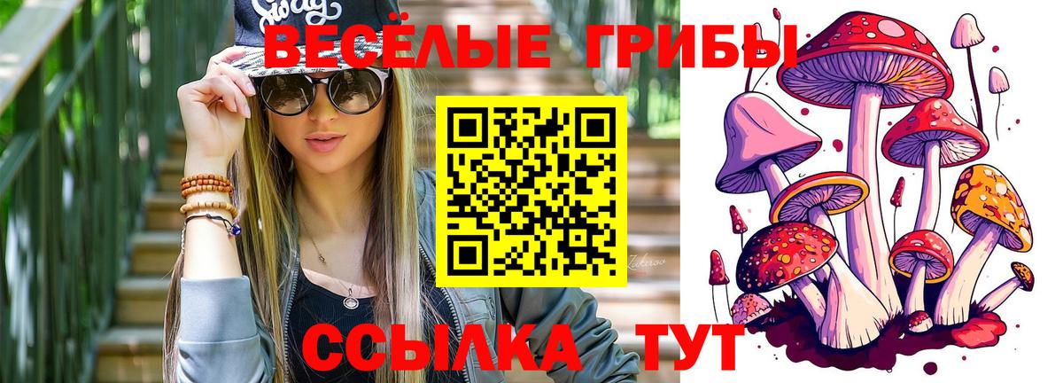 Псилоцибиновые грибы мицелий Домодедово