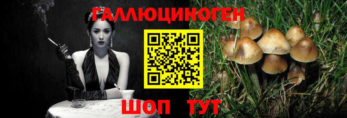 Домодедово  Галлюциногенные грибы MAGIC MUSHROOMS  Вход с VPN 
